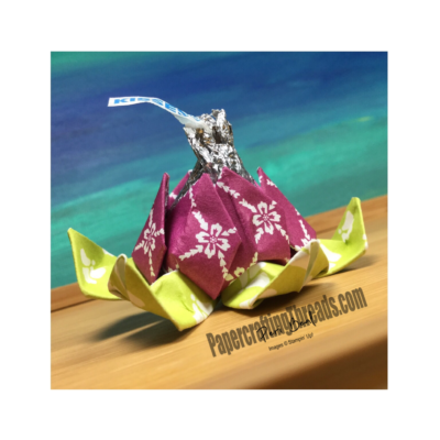 Lotus Blossom Origami How To Video