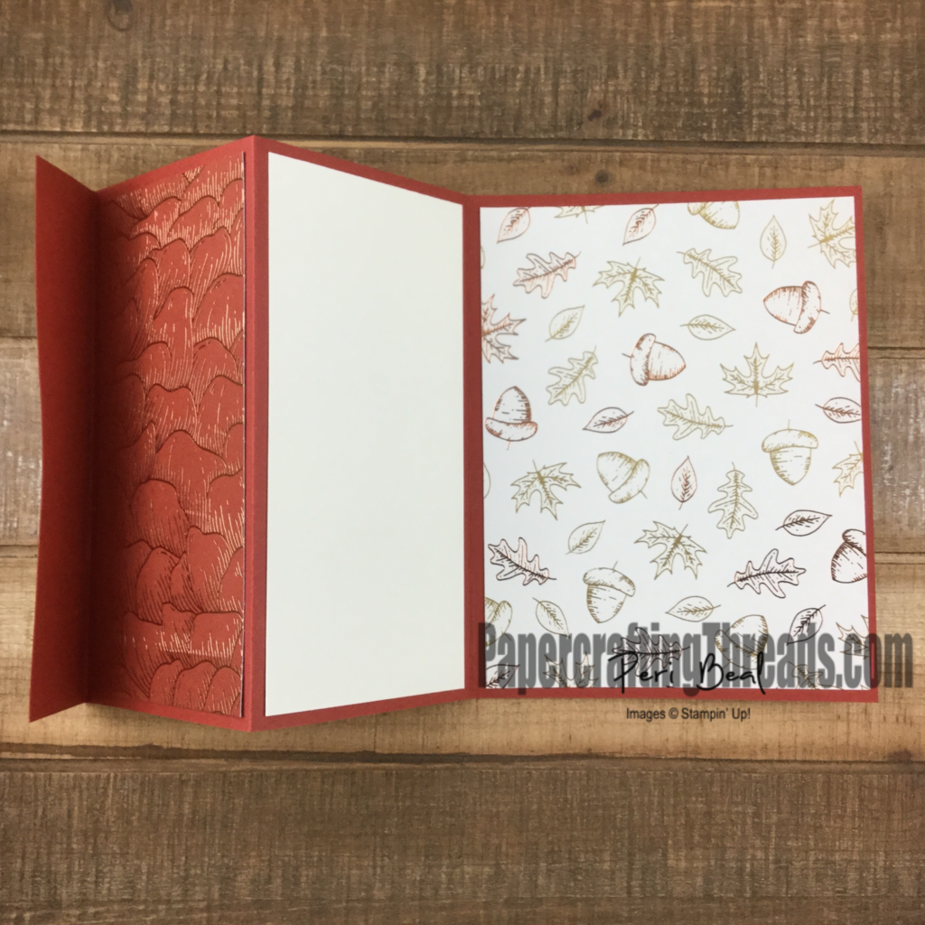 The Tri Fold Accordion card with panel decoration.