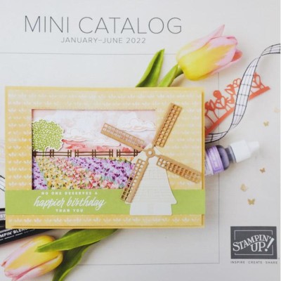 Top 5 Products in the January – June Mini Catalog