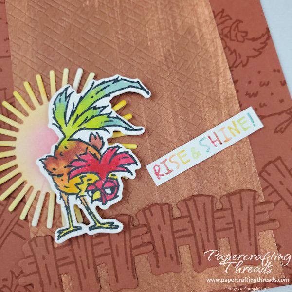 Close up of rooster on a fence with the sun behind him and a rainbow colored sentiment Rise & Shine!