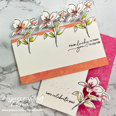 Die Cut Edge Cards Two Ways