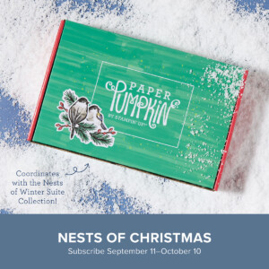 Preview of Nests of Christmas Paper Pumpkin, a subscription craft kit featuring birds and a winter theme