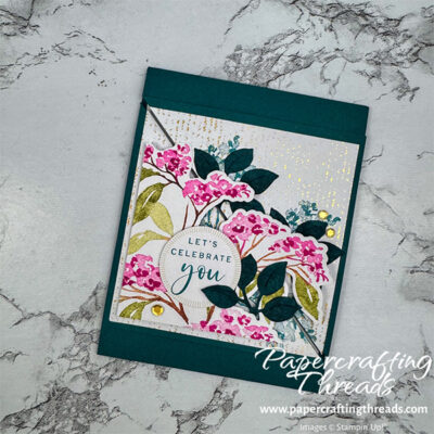 Swivel Fun Fold Card