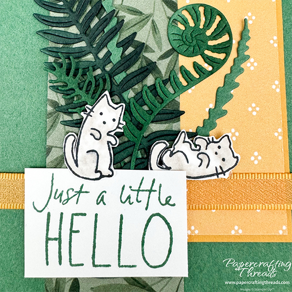 Step Up Your Cardmaking sample card closeup with two patterned papers, one leafy greens and one neutral golden pattern layered over pine green cardstock and white card base. Multiple die cut fernlike foliage in various shades of green gathered together at base. Gold ribbon is wrapped around bottom third. Two playful kittens nestled around large sentiment of 'just a little HELLO'.